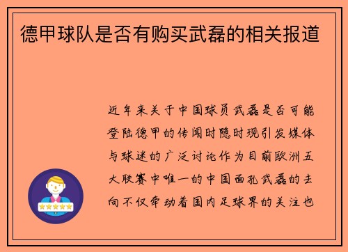 德甲球队是否有购买武磊的相关报道